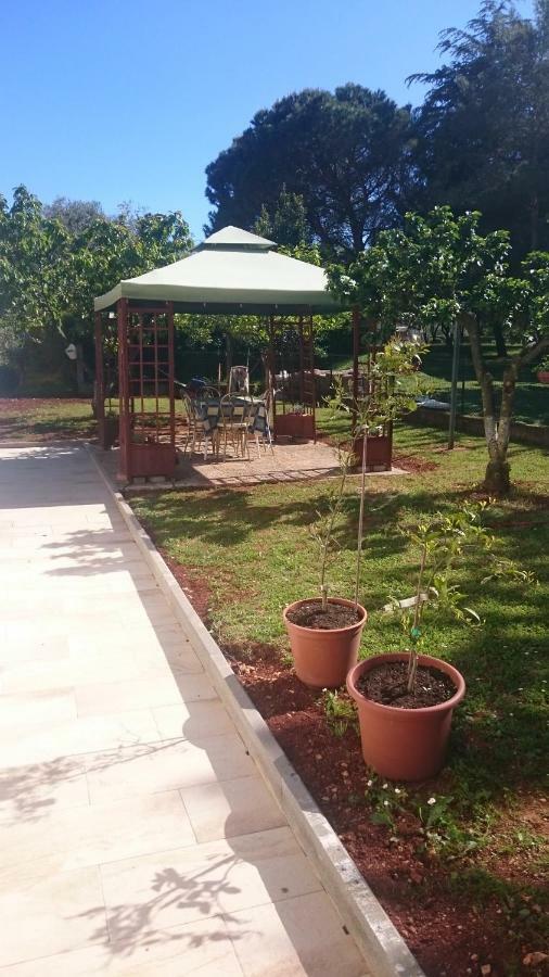 Apartment Sara أوماغ المظهر الخارجي الصورة