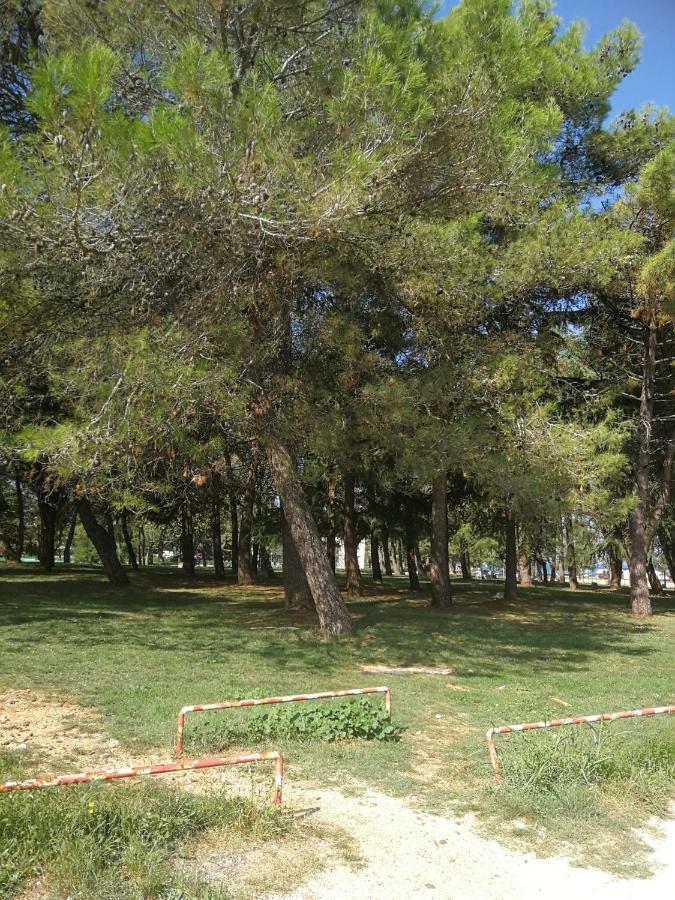 Apartment Sara أوماغ المظهر الخارجي الصورة